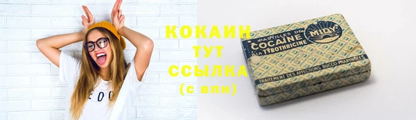 прущие крисы Надым