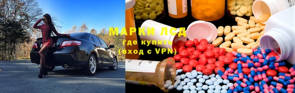 прущие крисы Надым
