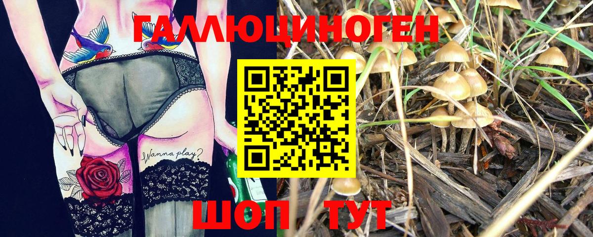 Галлюциногенные грибы GOLDEN TEACHER Унеча