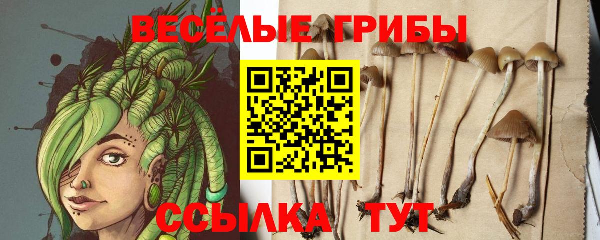 Галлюциногенные грибы MAGIC MUSHROOMS  Вход с VPN  Унеча 